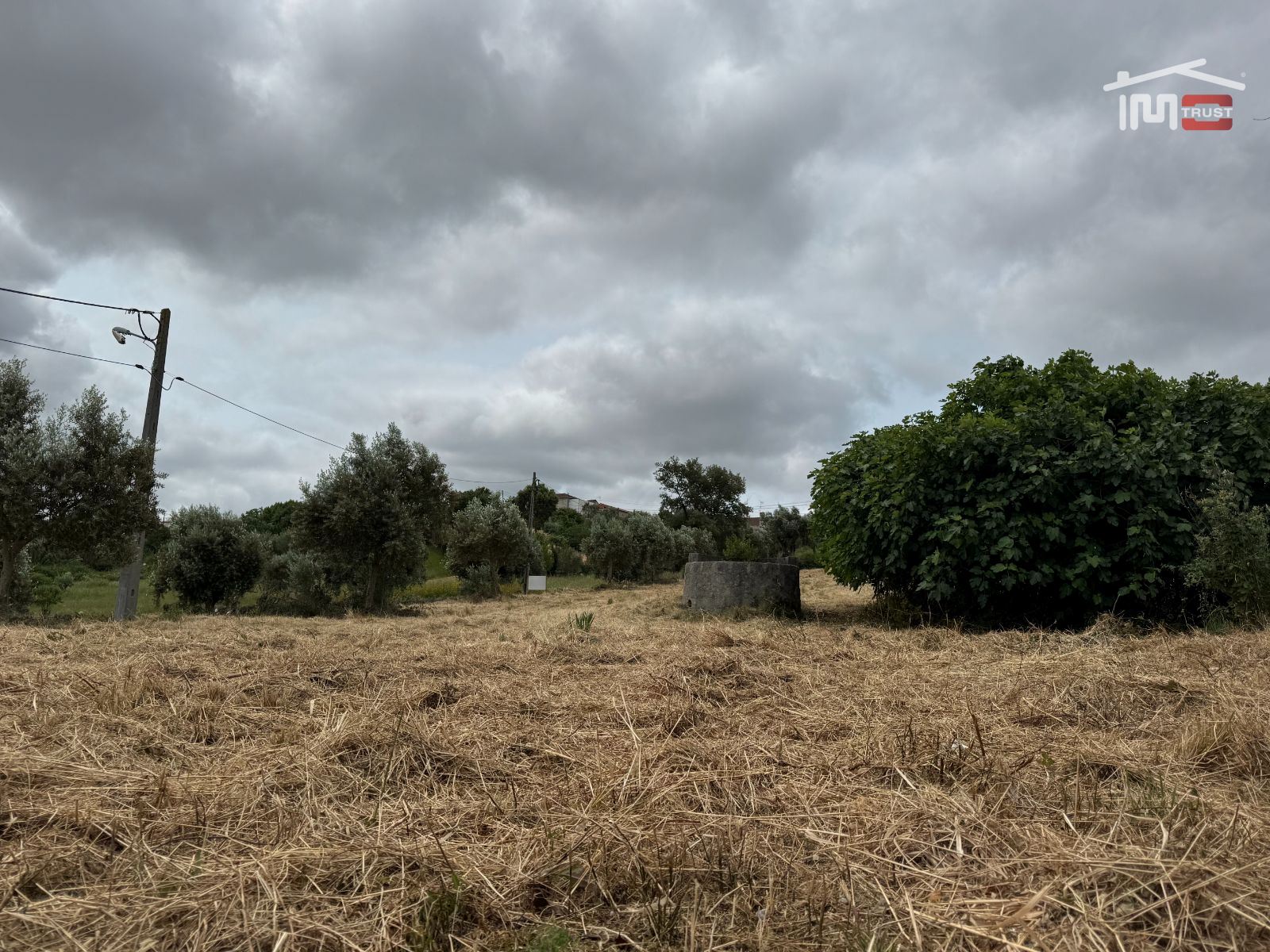 Terreno Agricola ou Rústico para Venda em Atouguia