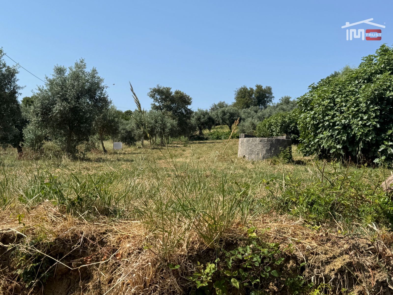 Terreno Agricola ou Rústico para Venda em Atouguia