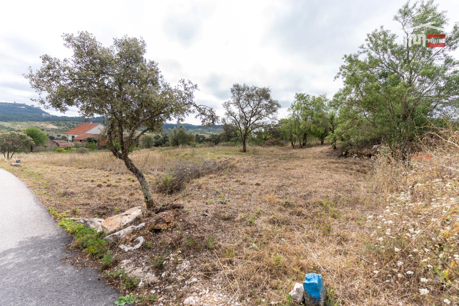Terreno Agricola ou Rústico para Venda em Atouguia