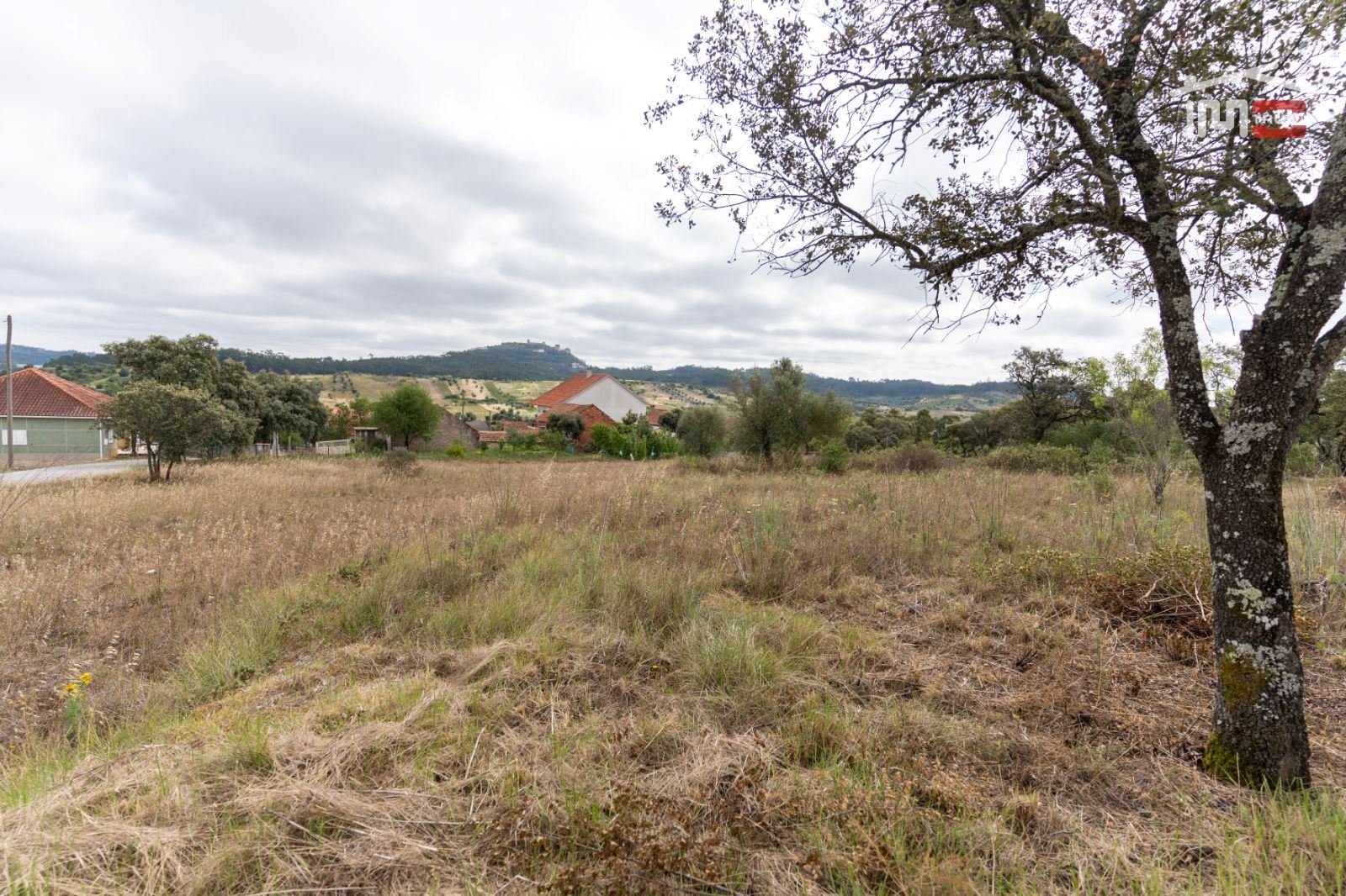 Terreno Agricola ou Rústico para Venda em Atouguia