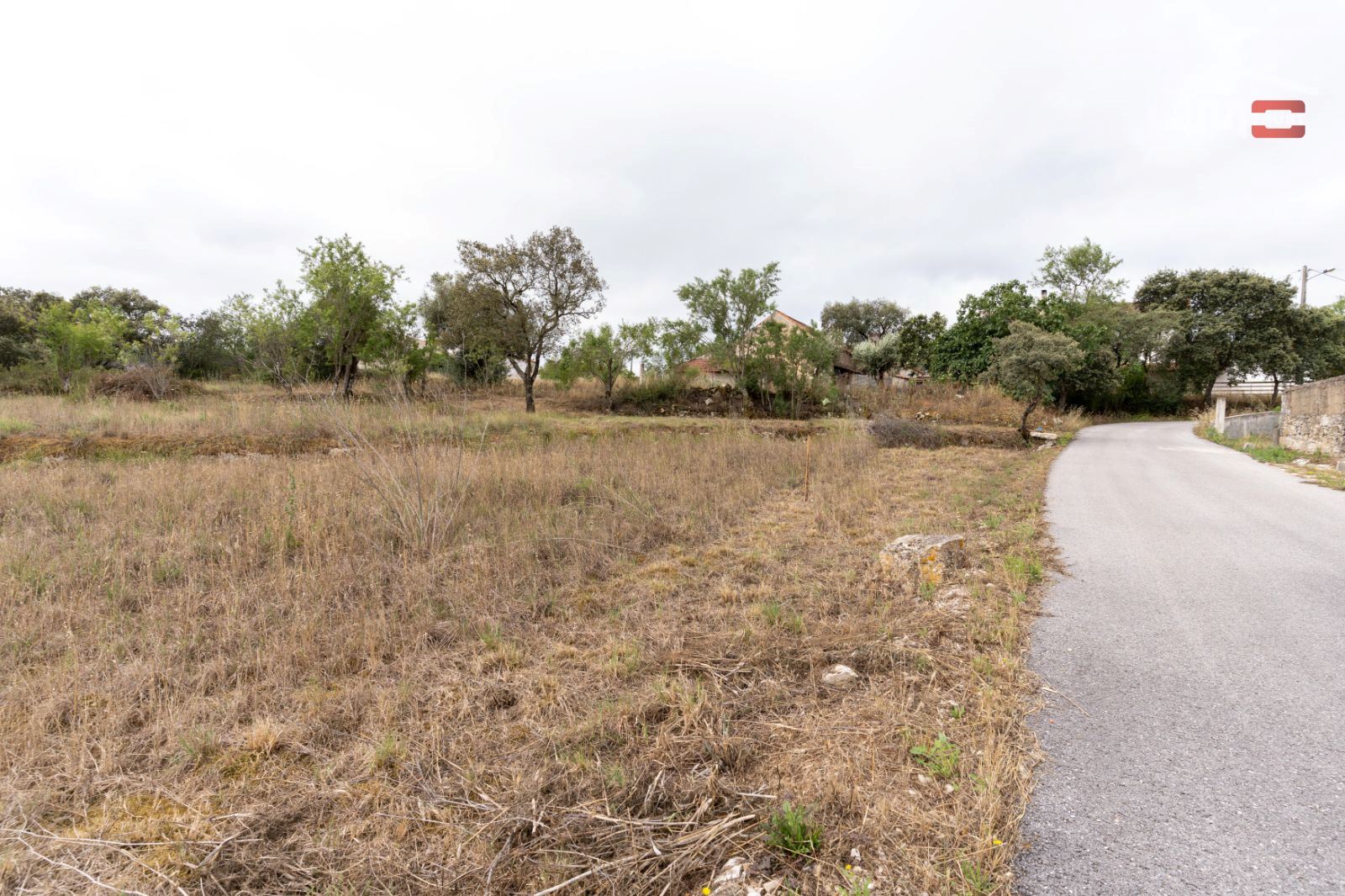 Terreno Agricola ou Rústico para Venda em Atouguia