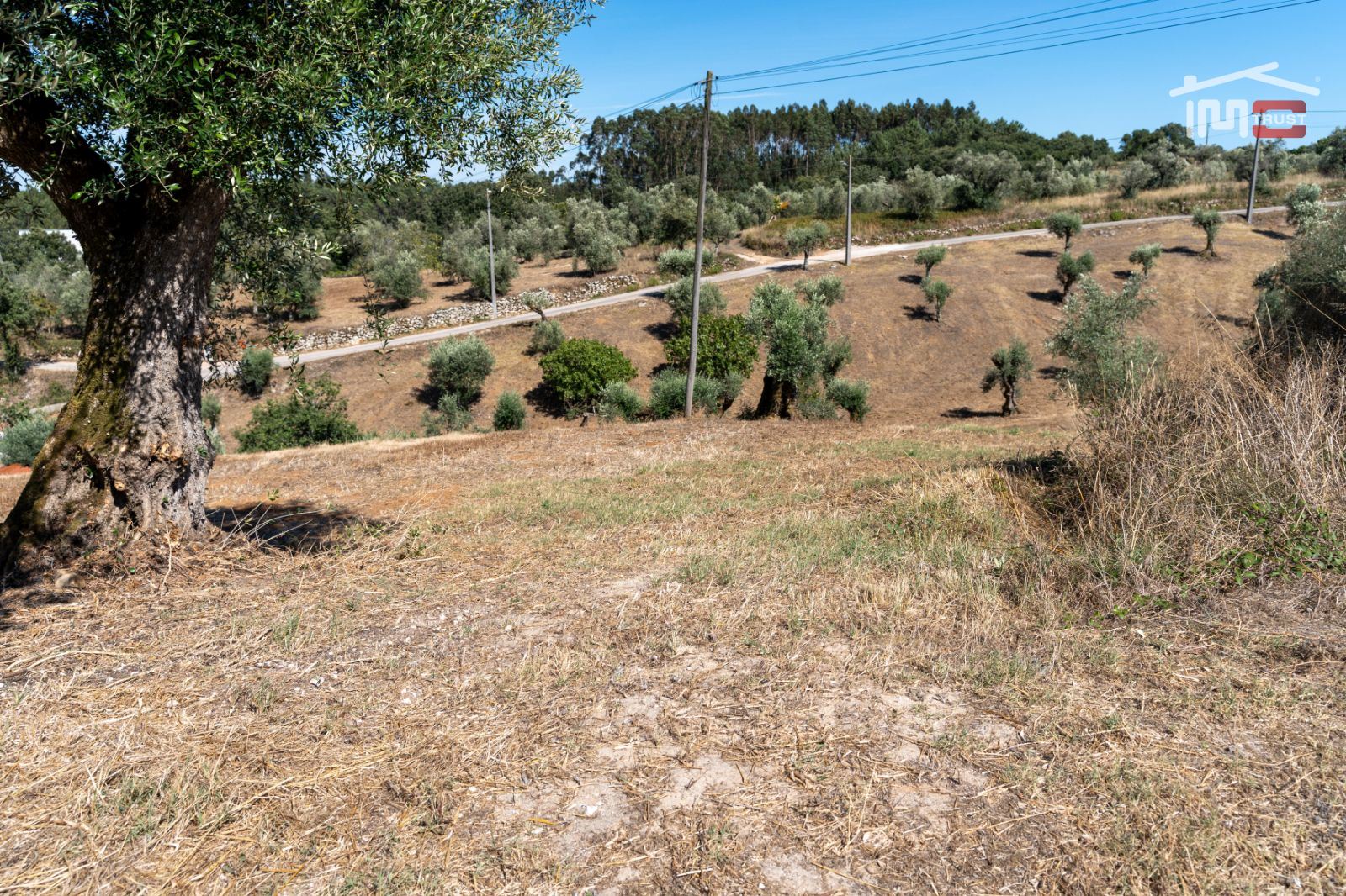 Terreno Agricola ou Rústico para Venda em Atouguia