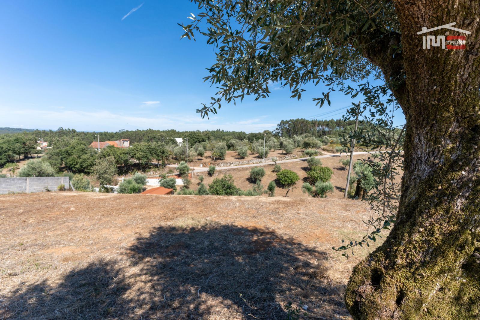Terreno Agricola ou Rústico para Venda em Atouguia