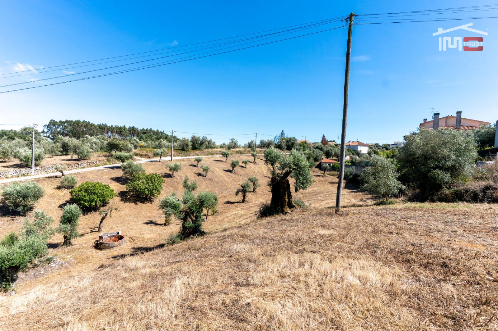 Terreno Agricola ou Rústico para Venda em Atouguia
