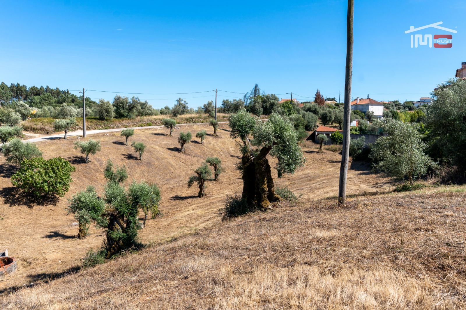 Terreno Agricola ou Rústico para Venda em Atouguia