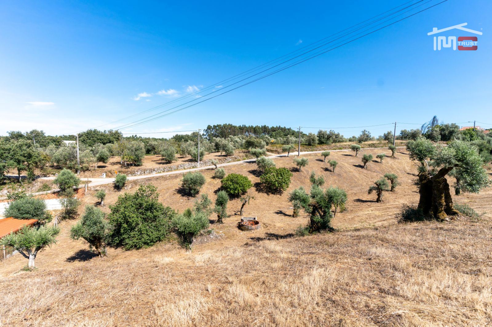 Terreno Agricola ou Rústico para Venda em Atouguia