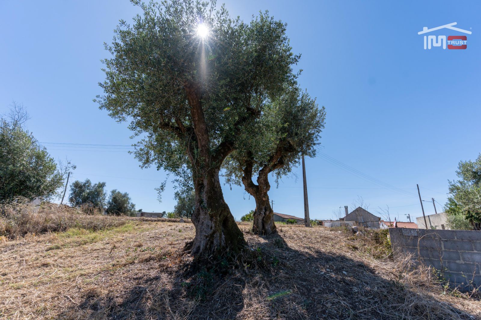 Terreno Agricola ou Rústico para Venda em Atouguia