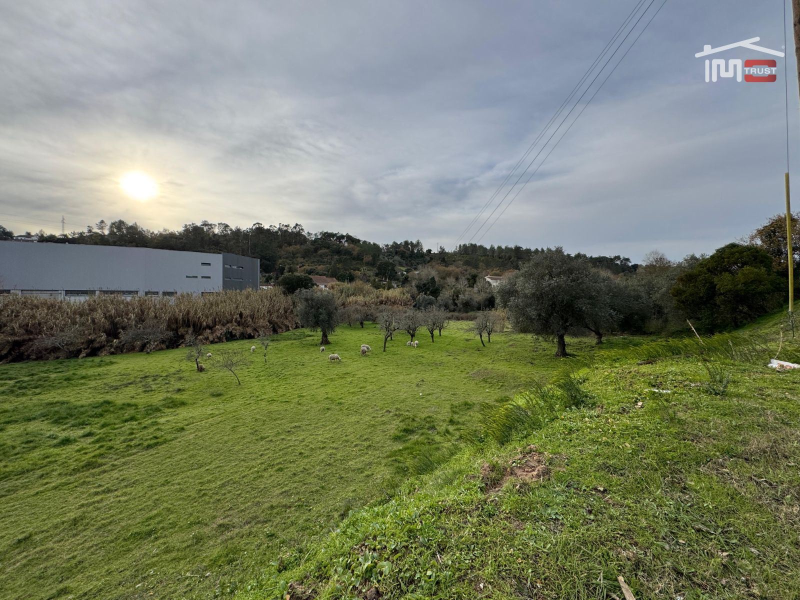 Terreno Agricola ou Rústico para Venda em Nossa Senhora da Piedade