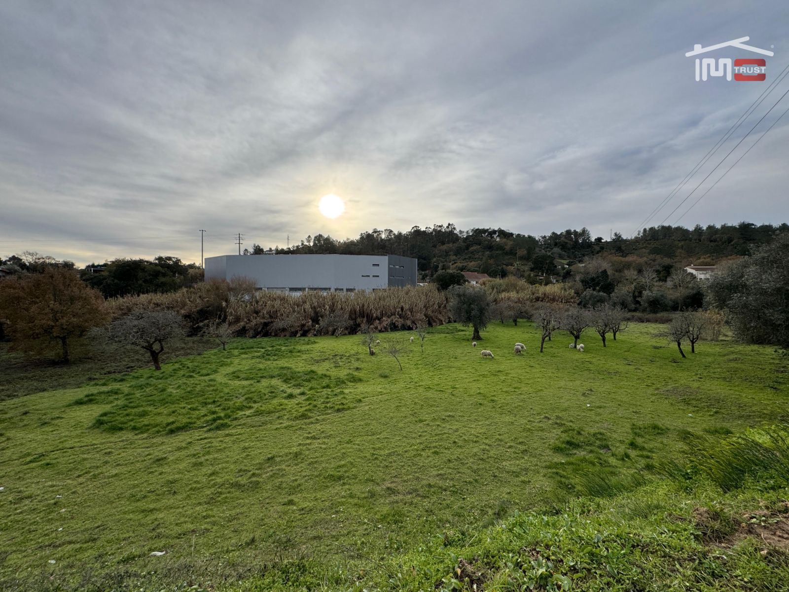 Terreno Agricola ou Rústico para Venda em Nossa Senhora da Piedade