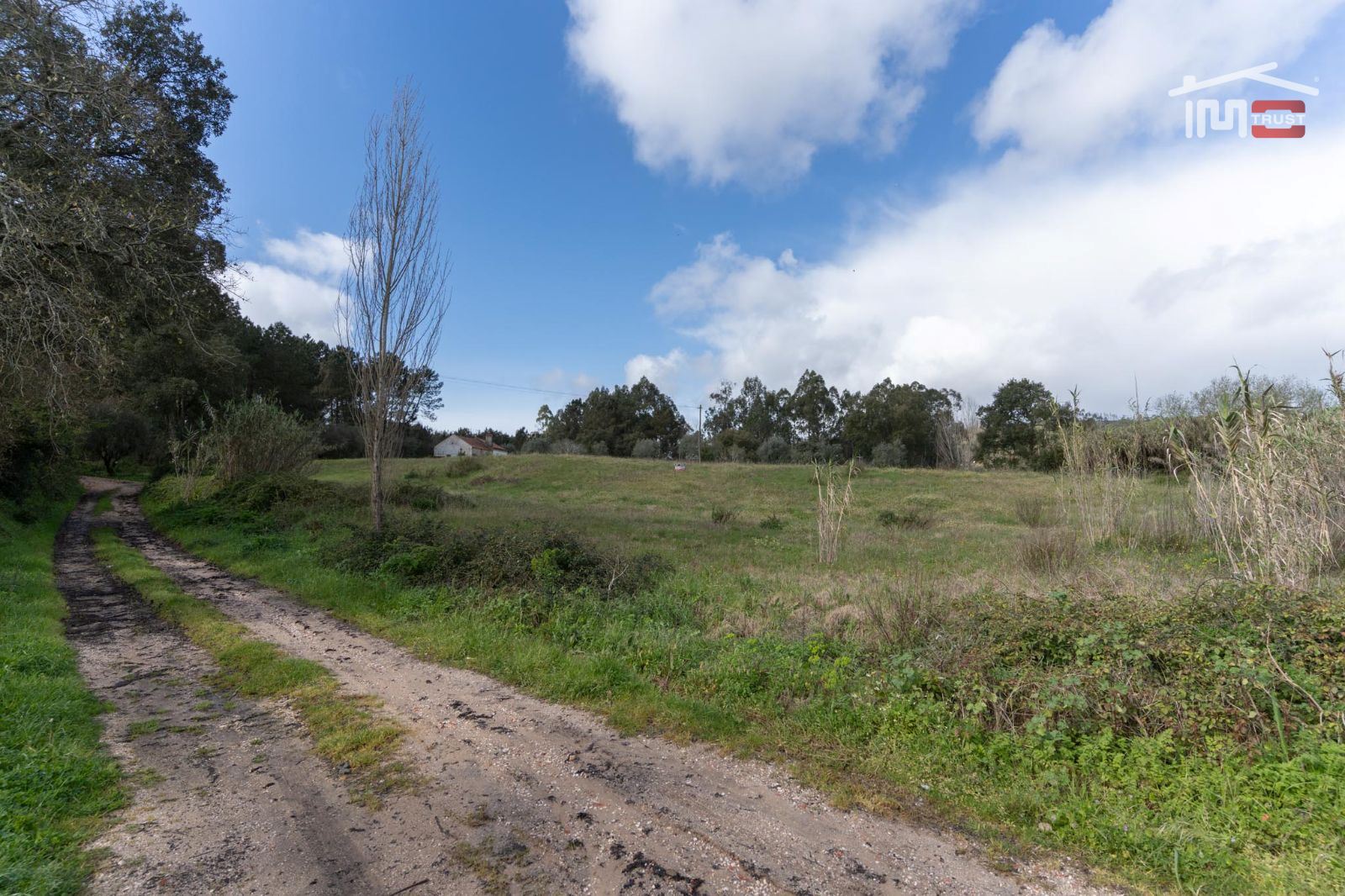 Terreno Agricola ou Rústico para Venda em Gondemaria e Olival