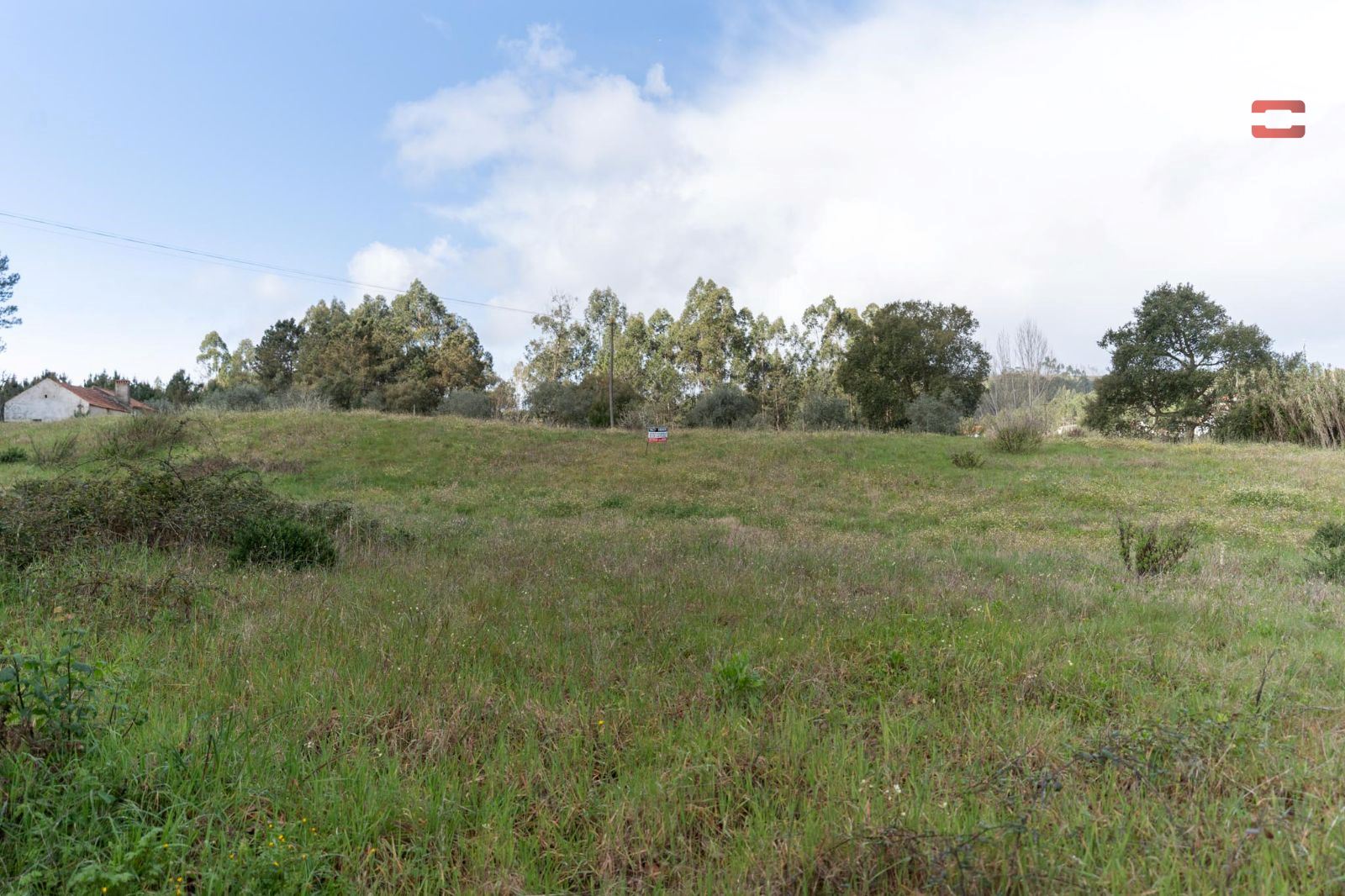 Terreno Agricola ou Rústico para Venda em Gondemaria e Olival