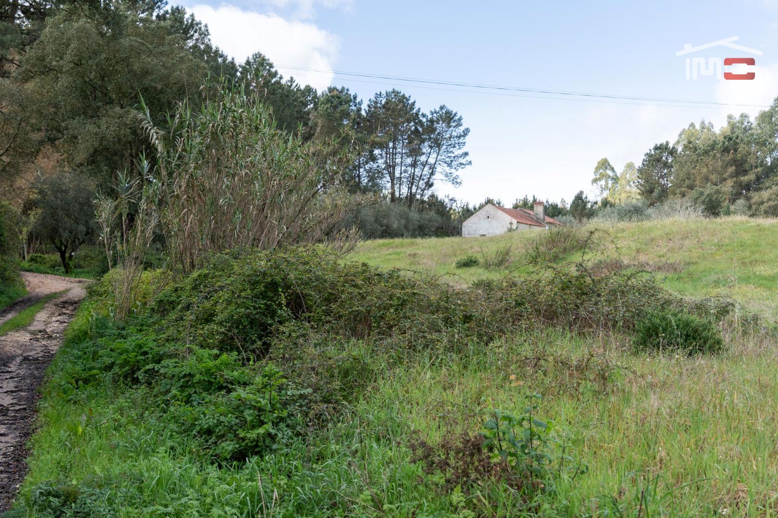 Terreno Agricola ou Rústico para Venda em Gondemaria e Olival