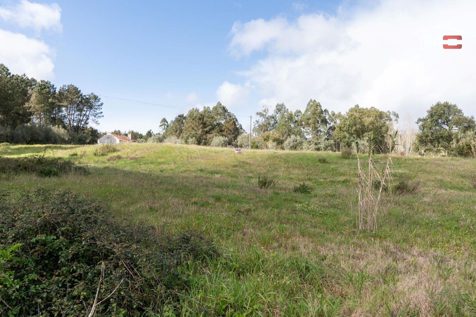 Terreno Agricola ou Rústico para Venda em Gondemaria e Olival