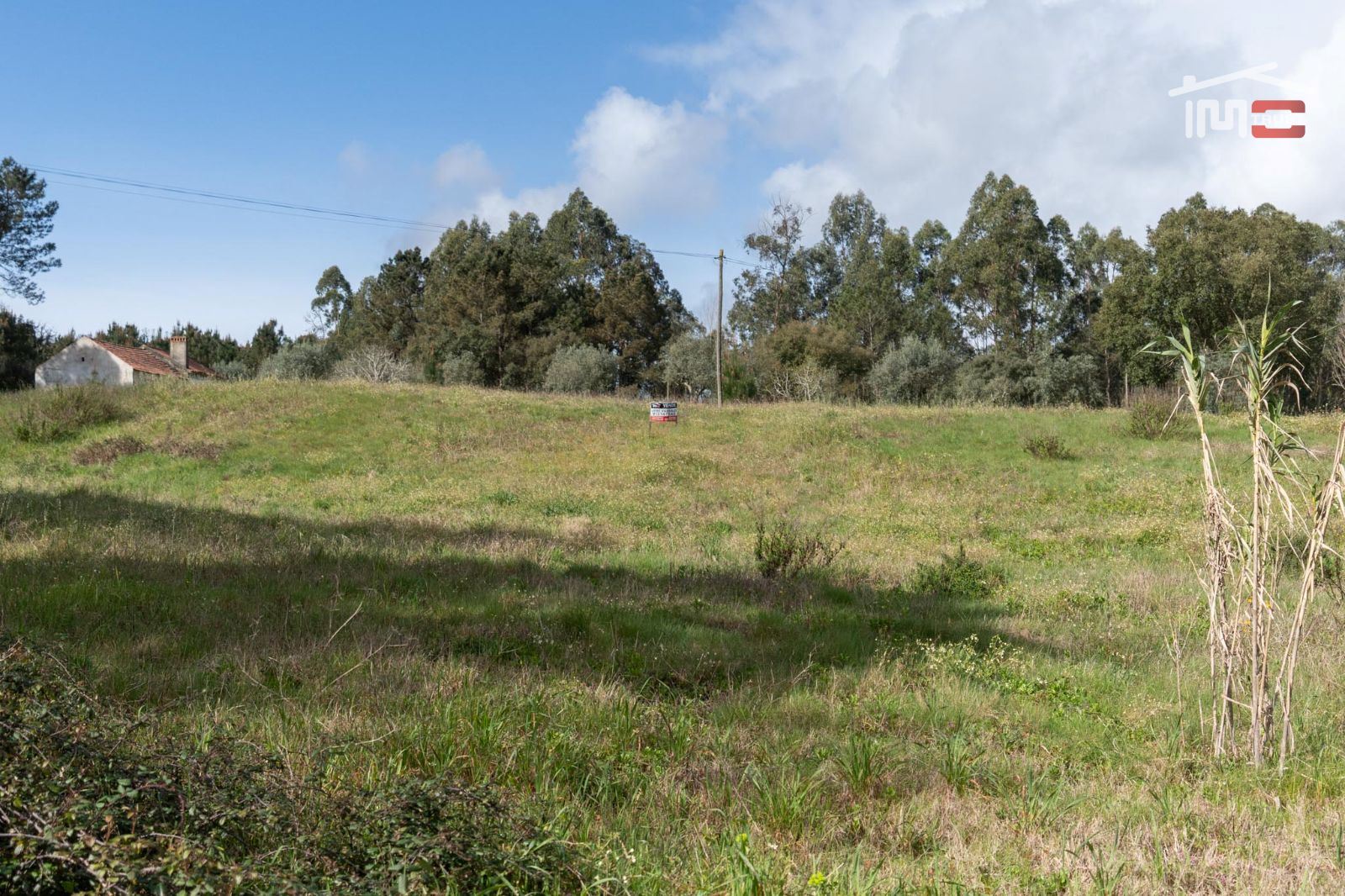 Terreno Agricola ou Rústico para Venda em Gondemaria e Olival