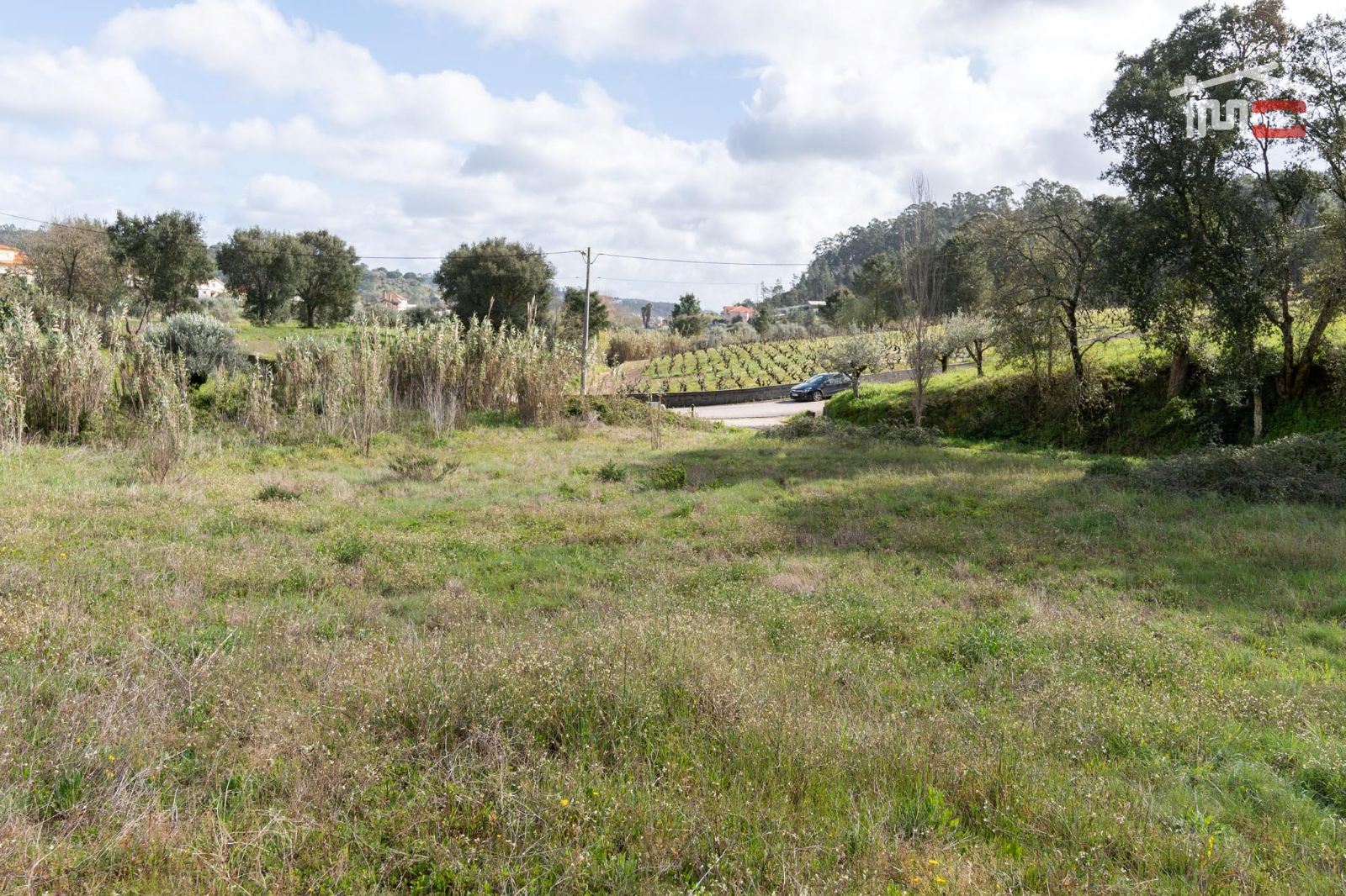 Terreno Agricola ou Rústico para Venda em Gondemaria e Olival