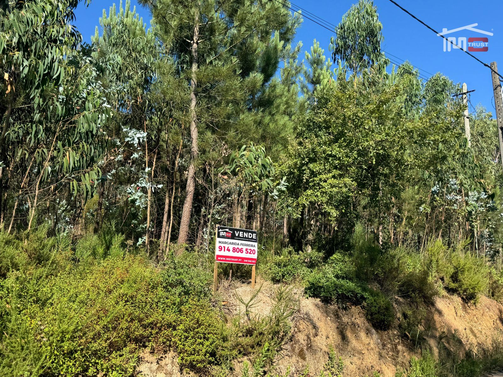 Terreno Agricola ou Rústico para Venda em Atouguia