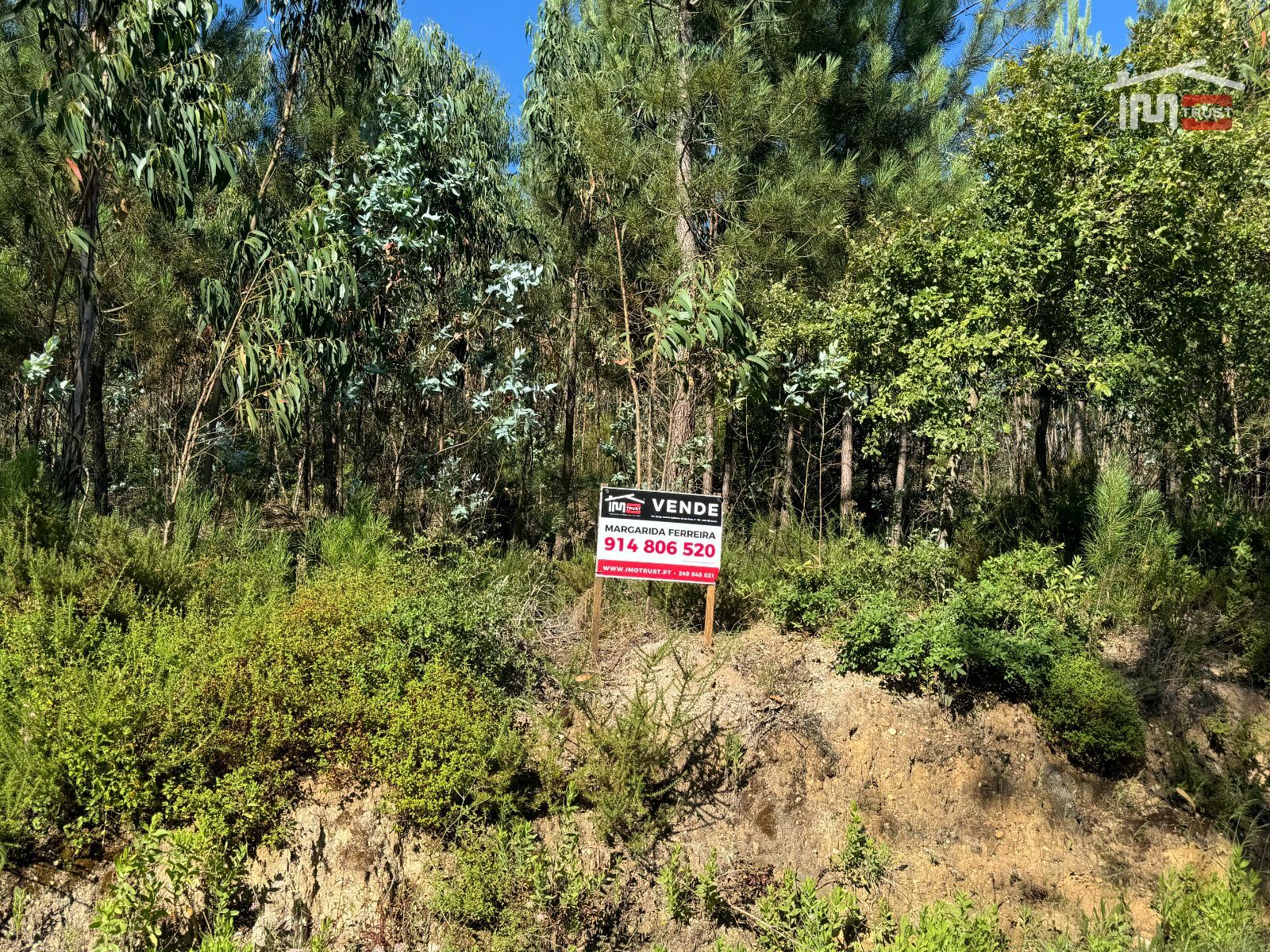 Terreno Agricola ou Rústico para Venda em Atouguia