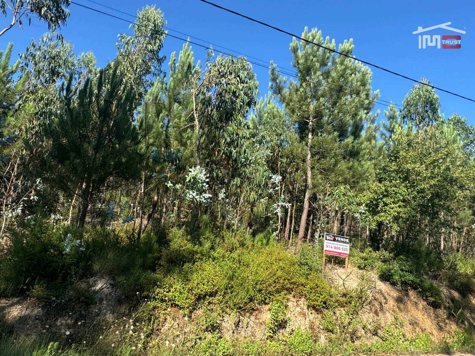 Terreno Agricola ou Rústico para Venda em Atouguia