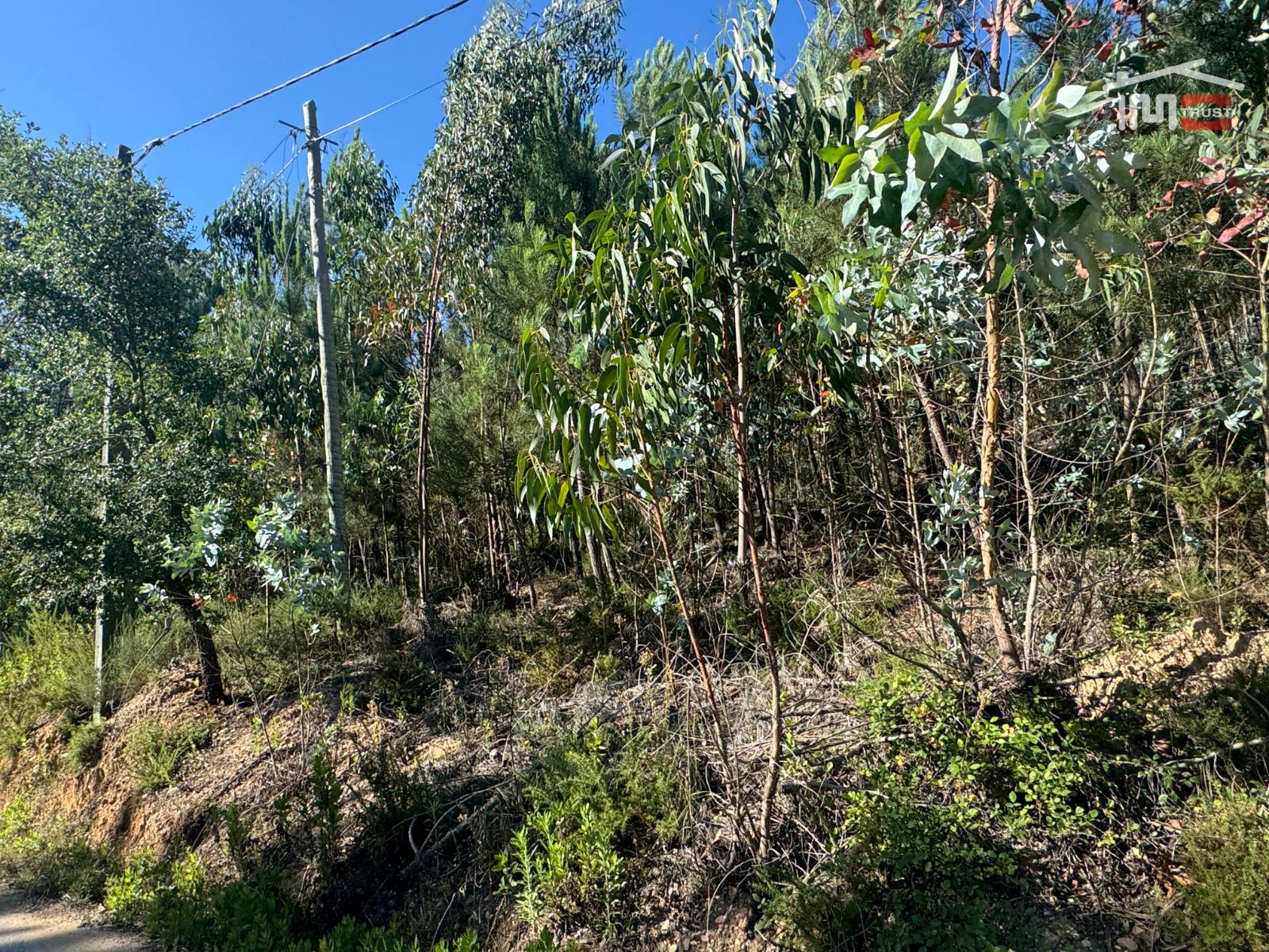 Terreno Agricola ou Rústico para Venda em Atouguia