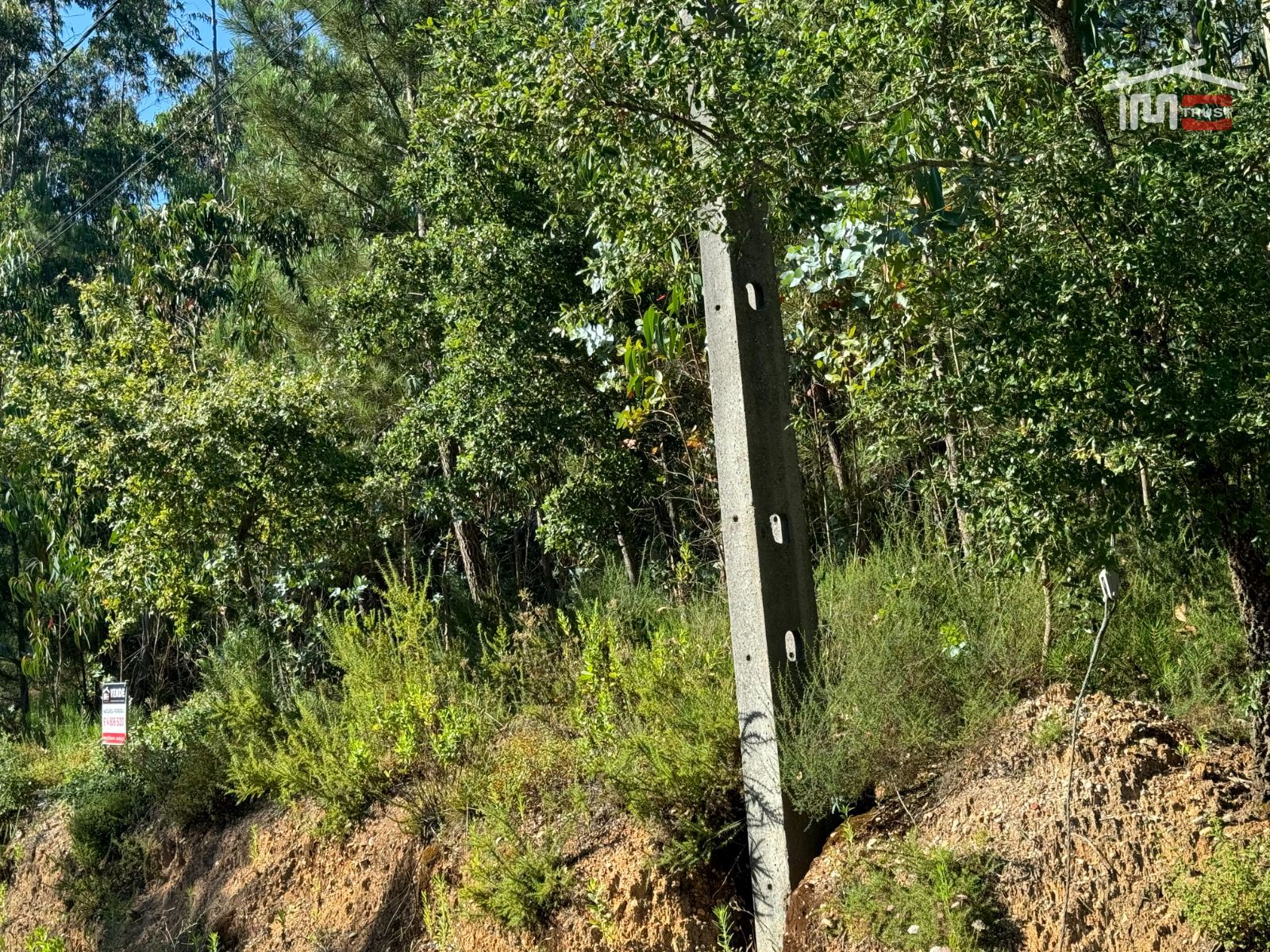 Terreno Agricola ou Rústico para Venda em Atouguia