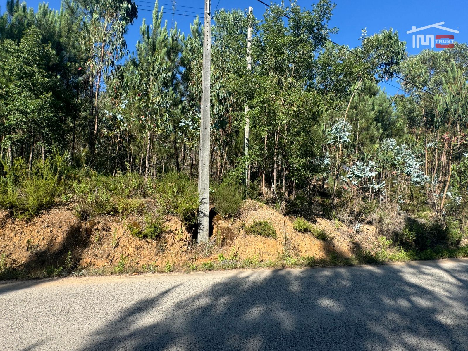 Terreno Agricola ou Rústico para Venda em Atouguia