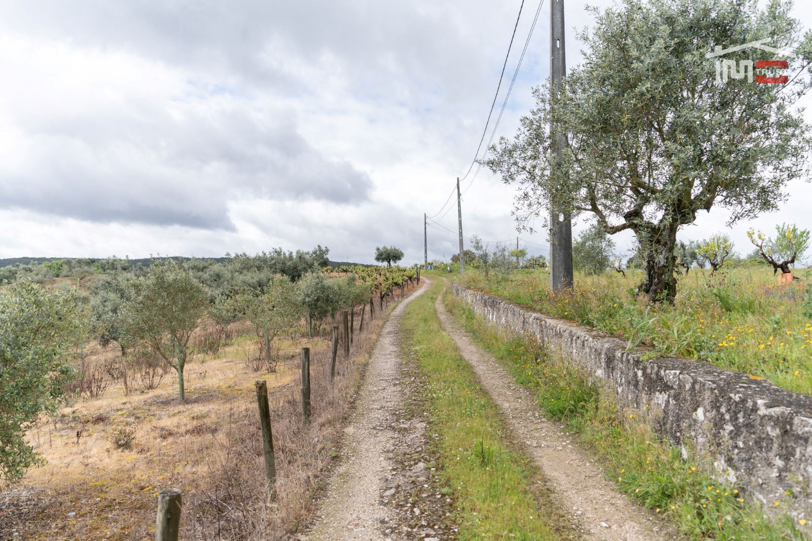 Terreno Agricola ou Rústico para Venda em Atouguia