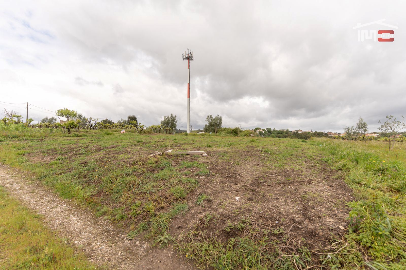 Terreno Agricola ou Rústico para Venda em Atouguia