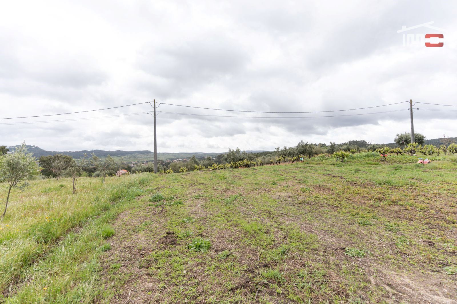 Terreno Agricola ou Rústico para Venda em Atouguia