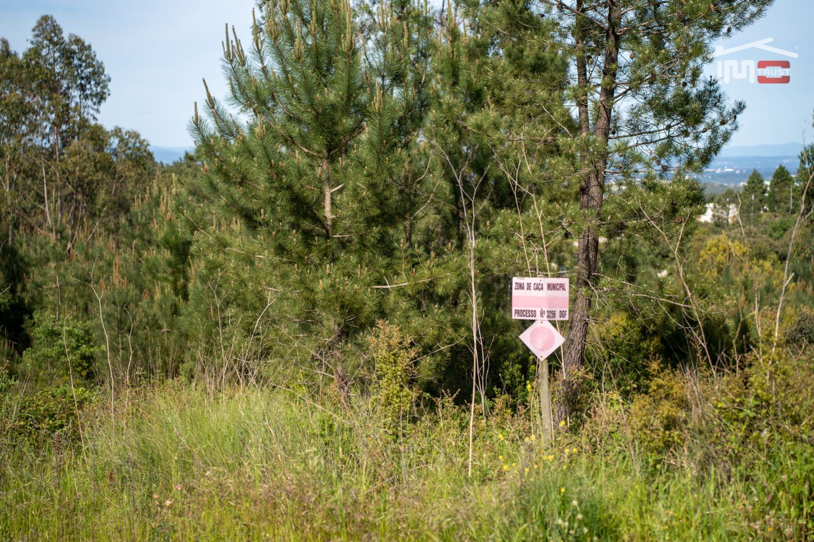 Terreno Agricola ou Rústico para Venda em Fatima
