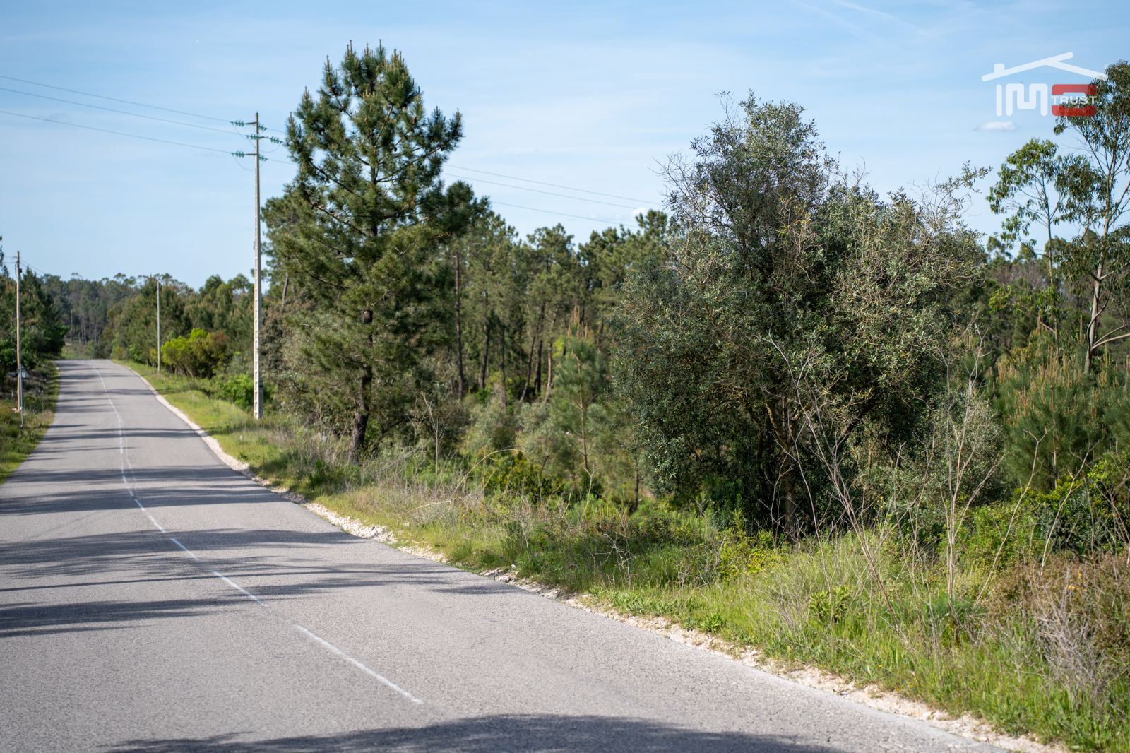 Terreno Agricola ou Rústico para Venda em Fatima