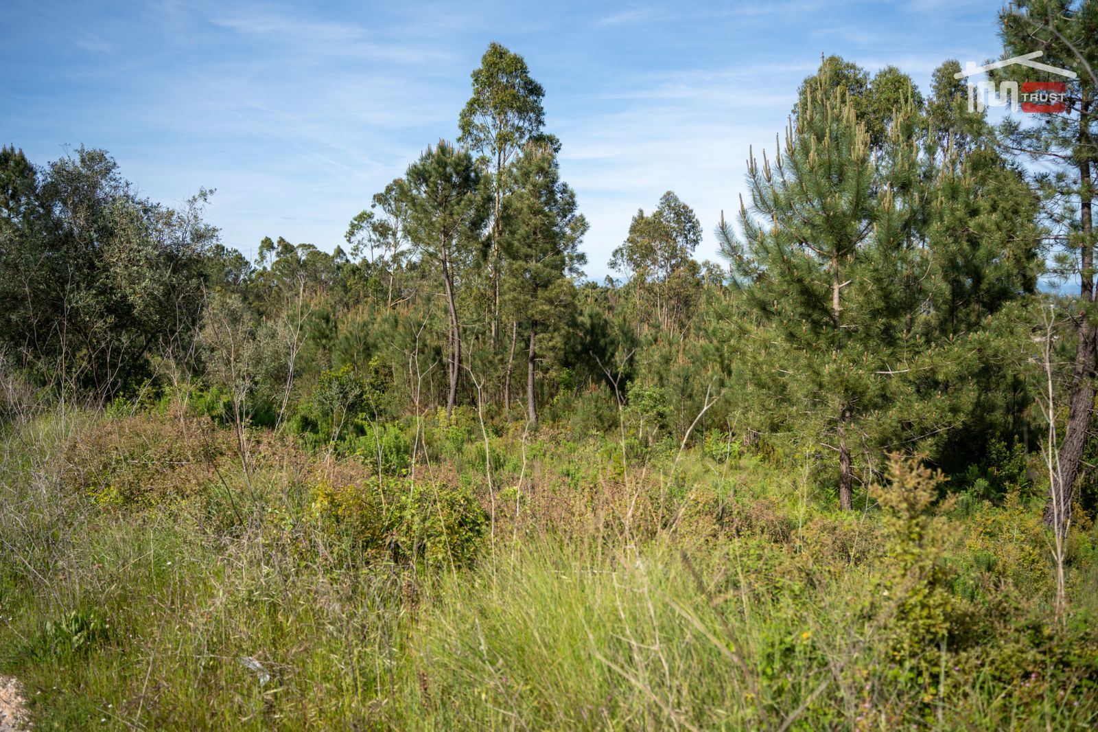 Terreno Agricola ou Rústico para Venda em Fatima