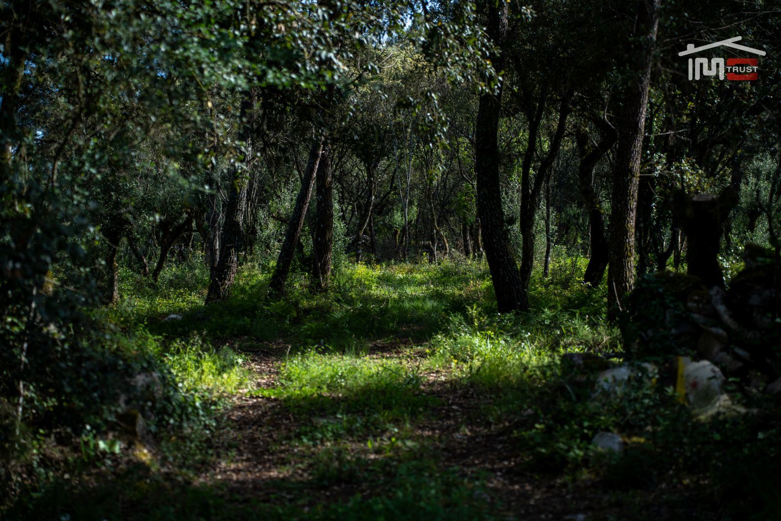 Terreno Agricola ou Rústico para Venda em Fatima