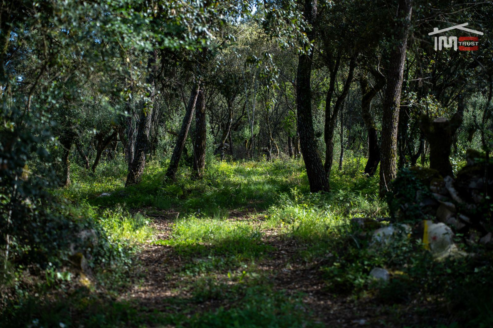 Terreno Agricola ou Rústico para Venda em Fatima