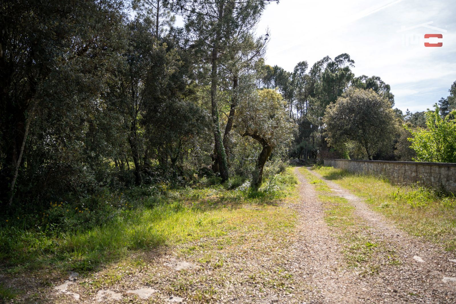 Terreno Agricola ou Rústico para Venda em Fatima