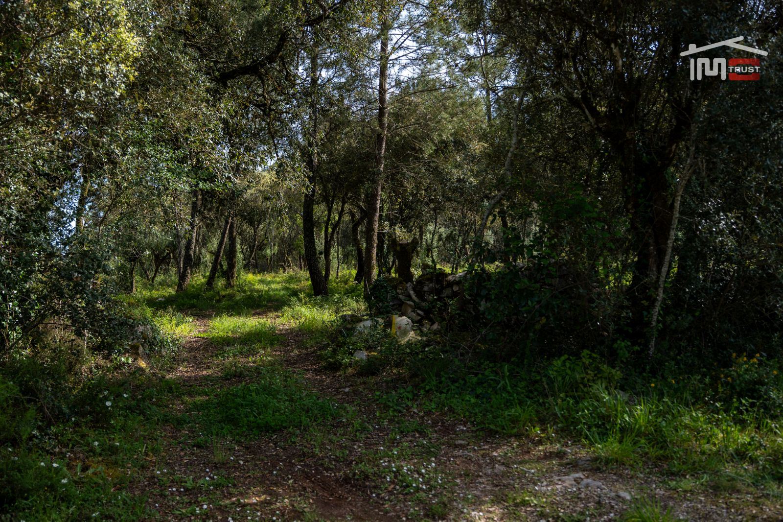 Terreno Agricola ou Rústico para Venda em Fatima