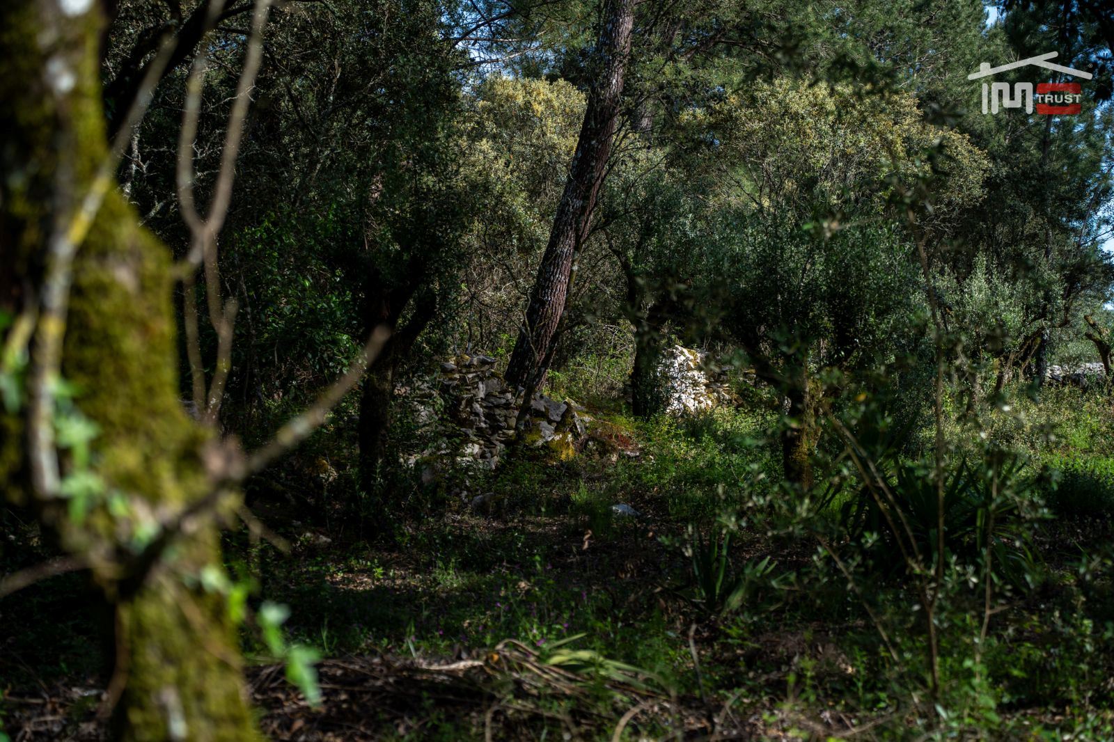 Terreno Agricola ou Rústico para Venda em Fatima