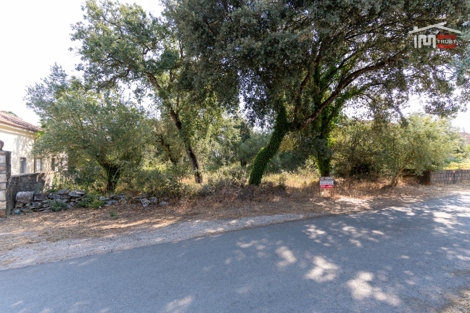 Terreno Agricola ou Rústico para Venda em Fatima