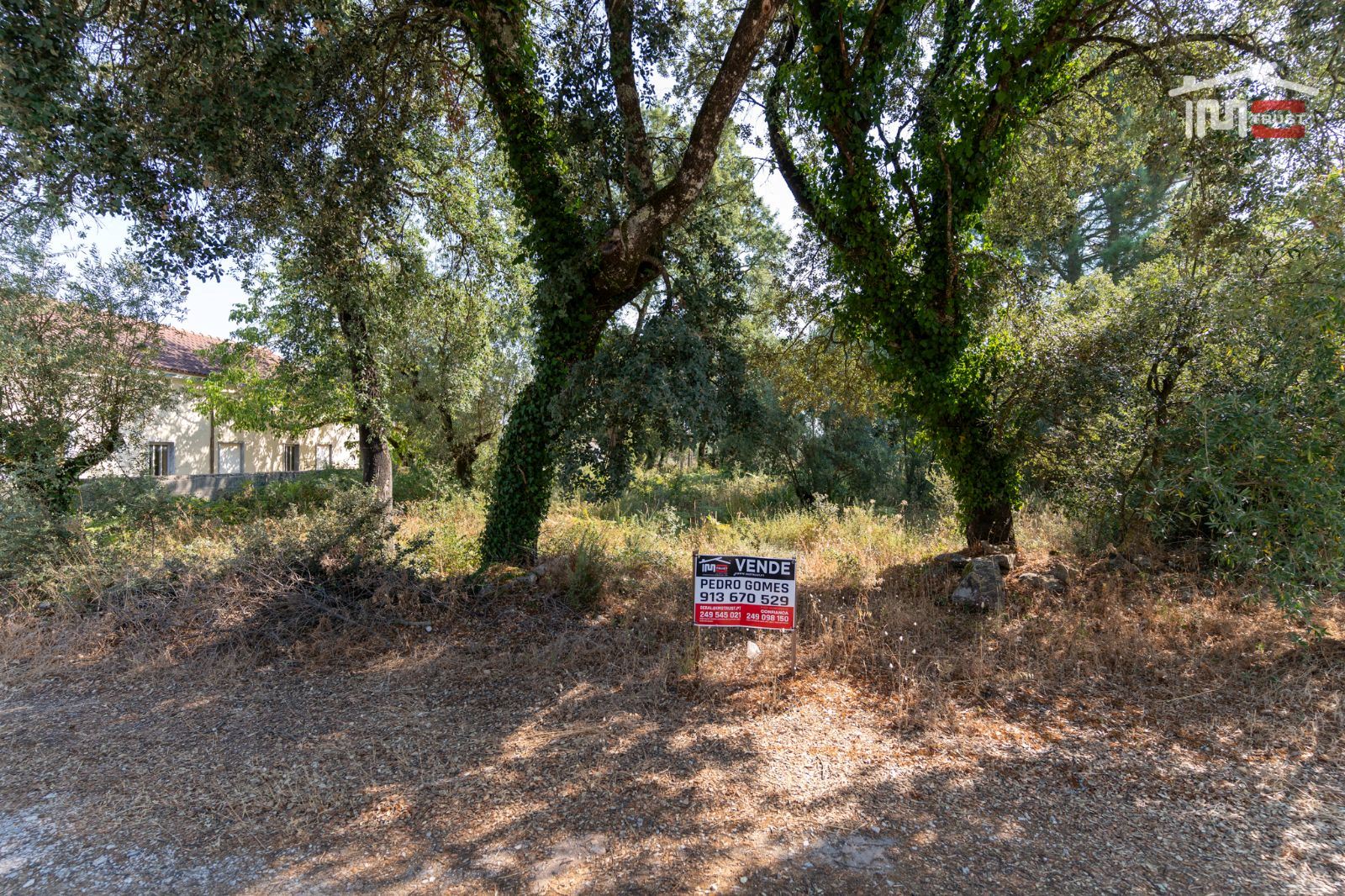 Terreno Agricola ou Rústico para Venda em Fatima