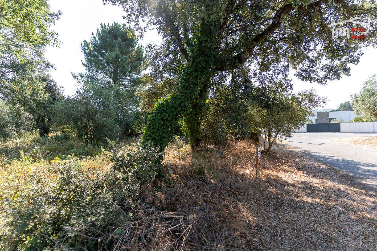 Terreno Agricola ou Rústico para Venda em Fatima