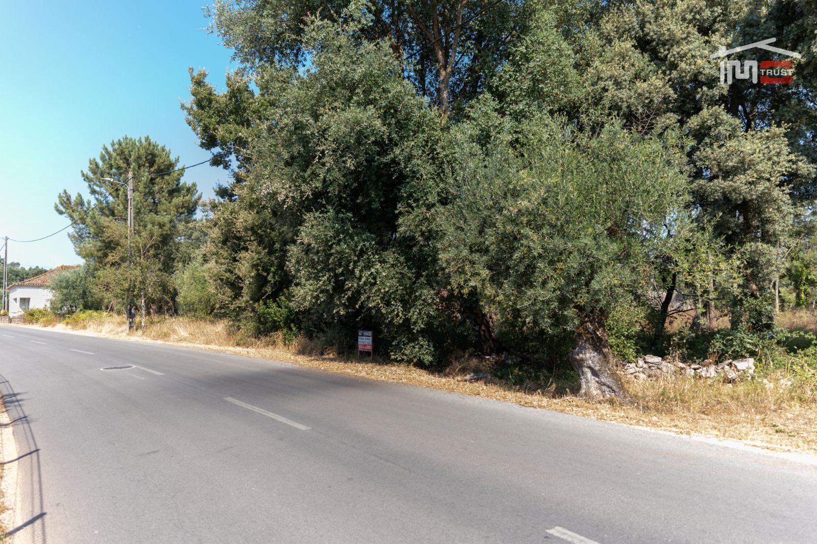 Terreno Agricola ou Rústico para Venda em Fatima