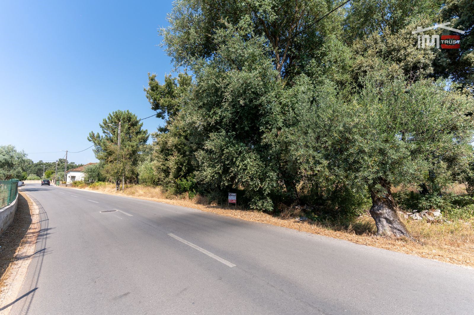 Terreno Agricola ou Rústico para Venda em Fatima