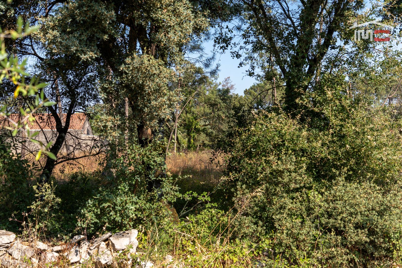 Terreno Agricola ou Rústico para Venda em Fatima