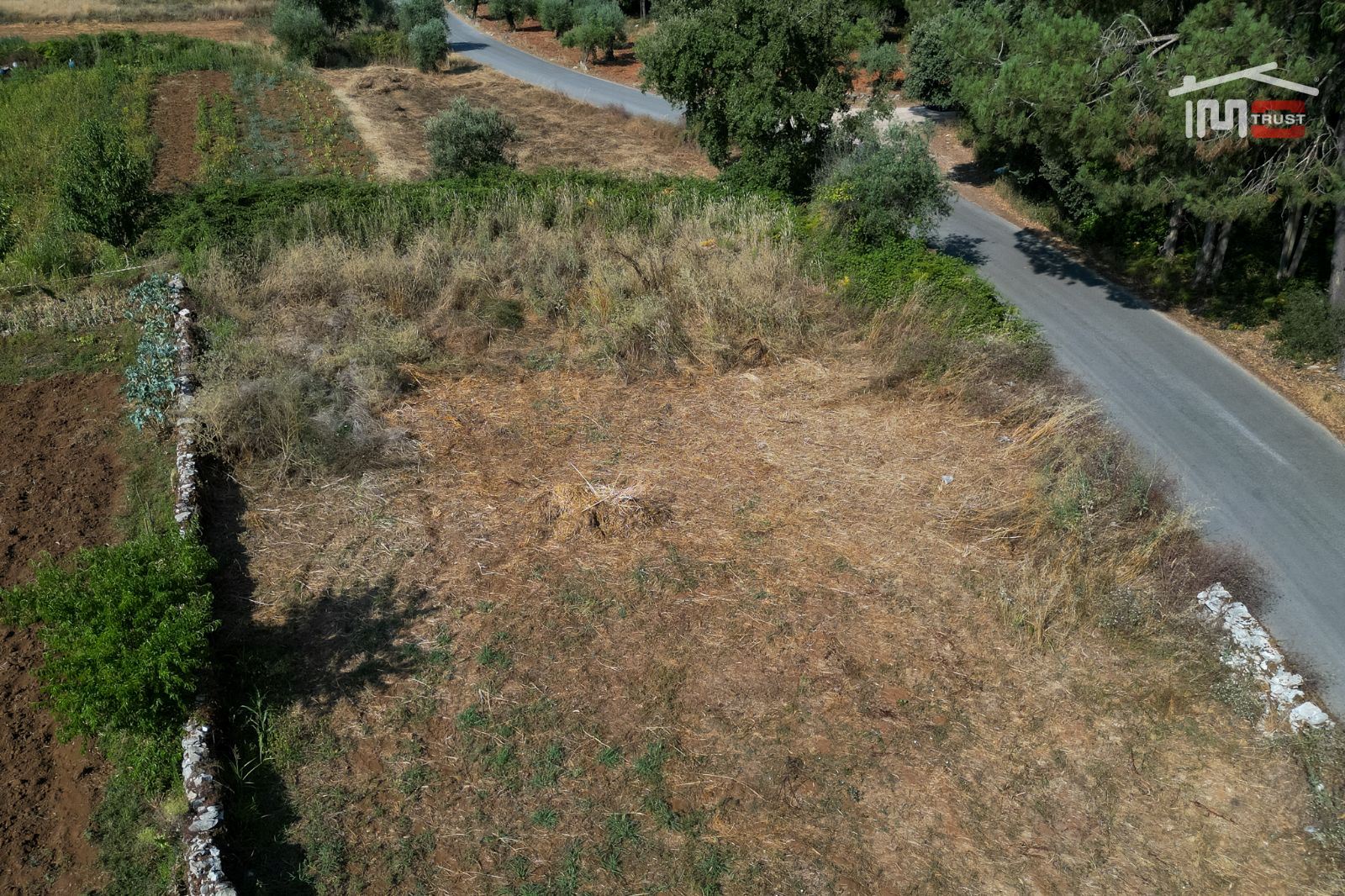 Terreno Agricola ou Rústico para Venda em Fatima