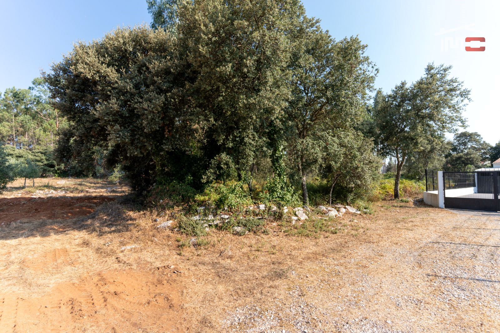 Terreno Agricola ou Rústico para Venda em Fatima