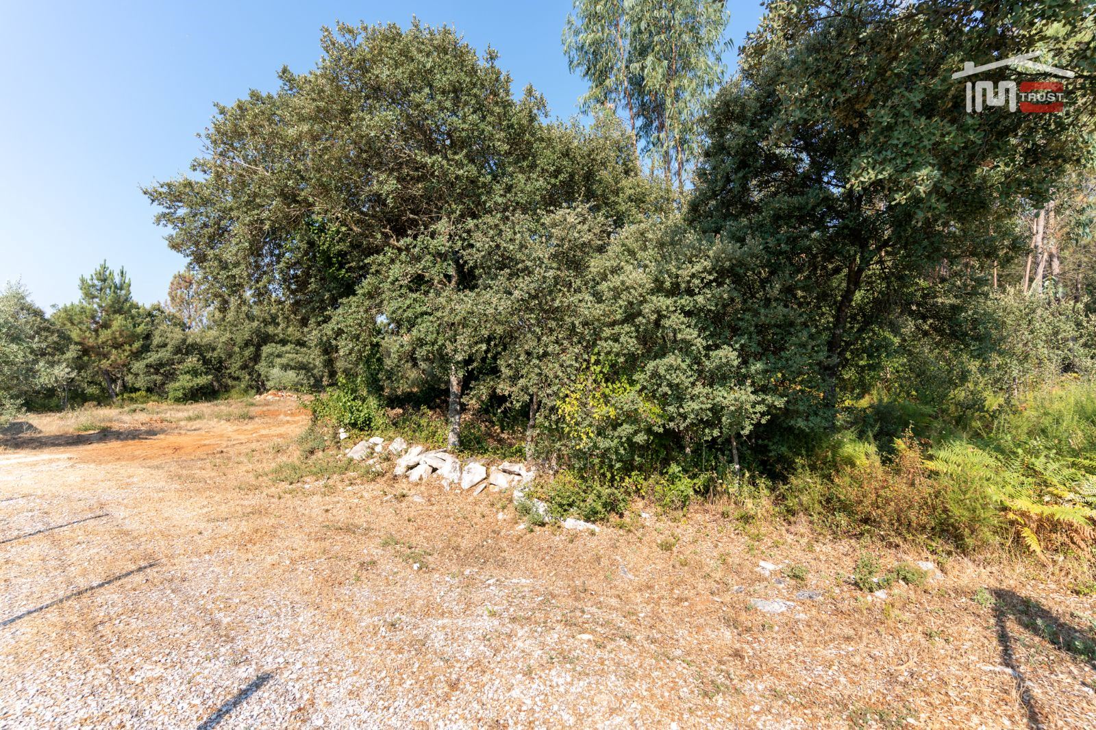 Terreno Agricola ou Rústico para Venda em Fatima