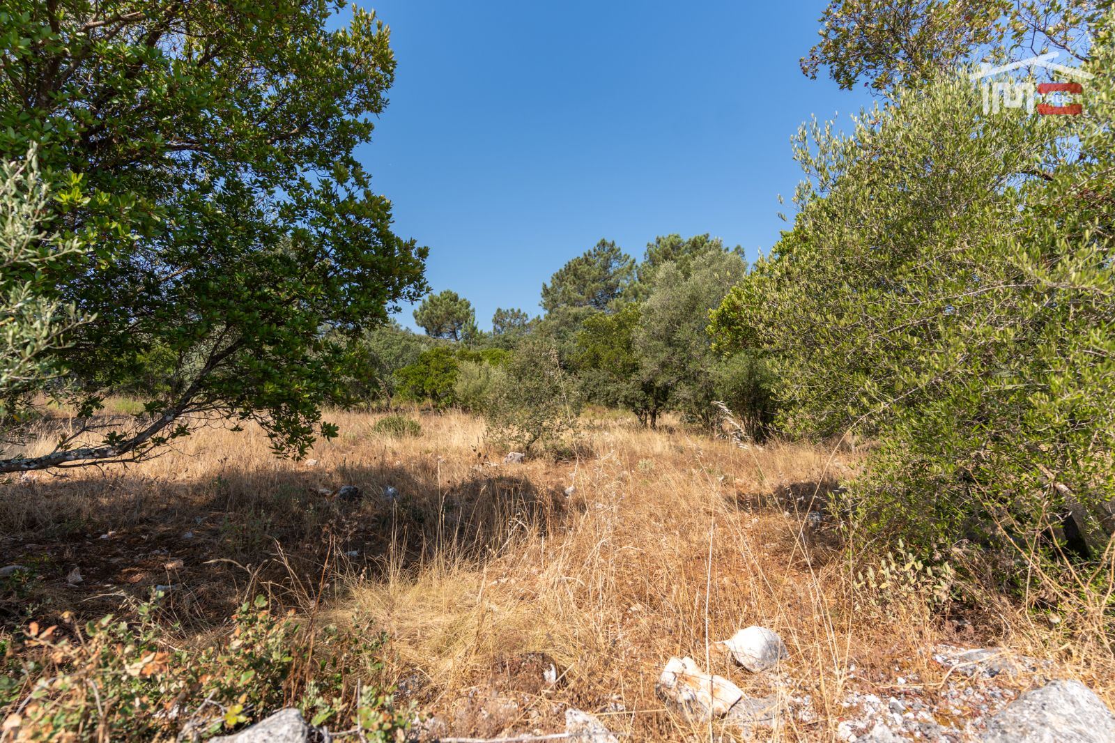 Terreno Agricola ou Rústico para Venda em Fatima