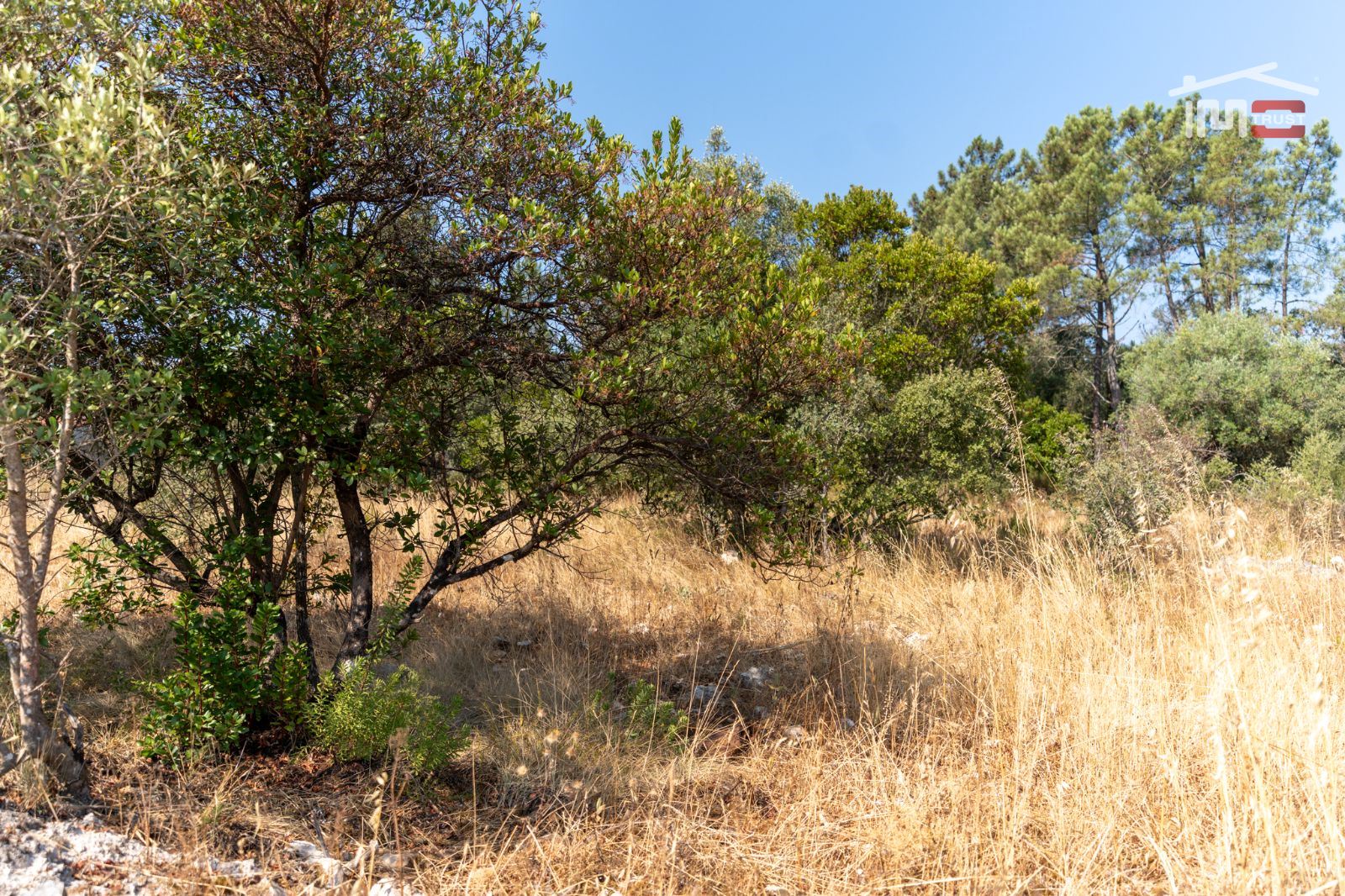 Terreno Agricola ou Rústico para Venda em Fatima