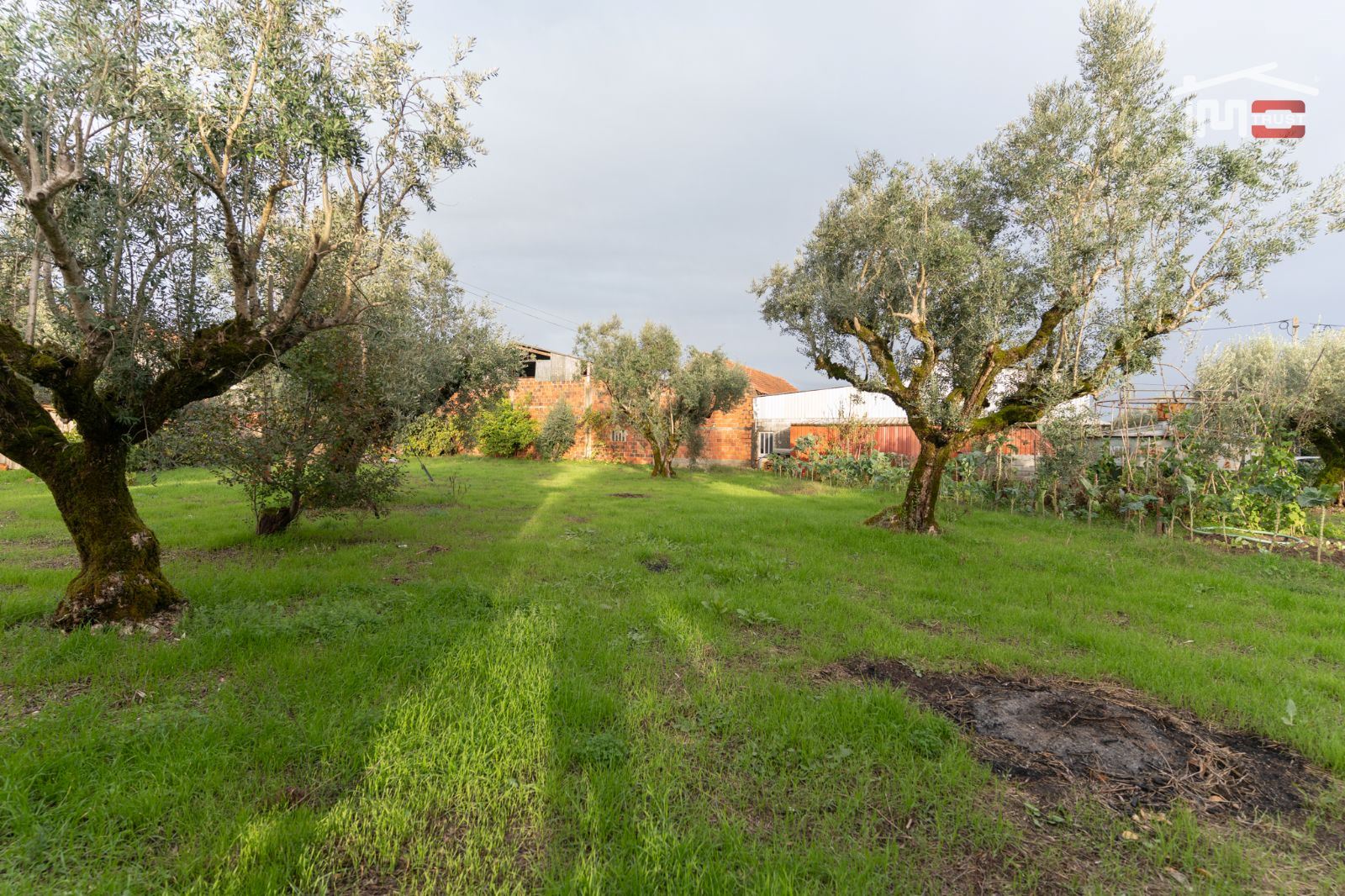 Moradia T3 para Venda em Rio de Couros e Casal dos Bernardos