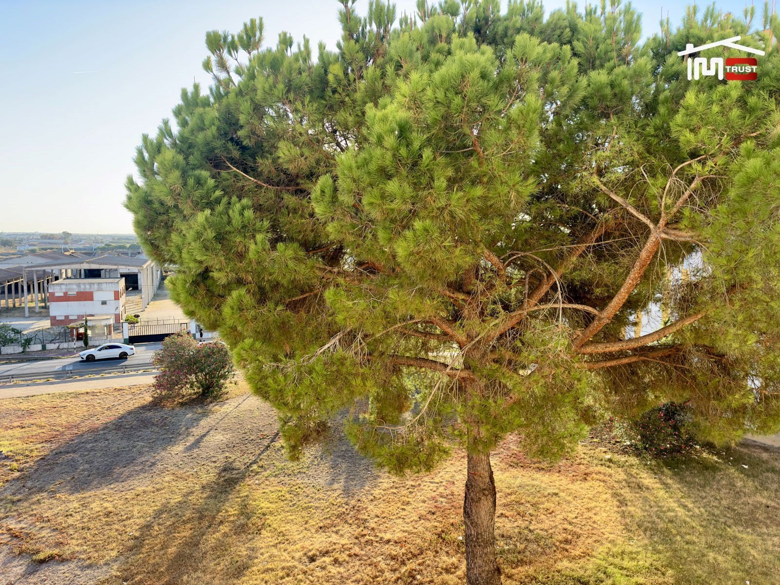 Apartamento T3 para Venda em Montijo e Afonsoeiro