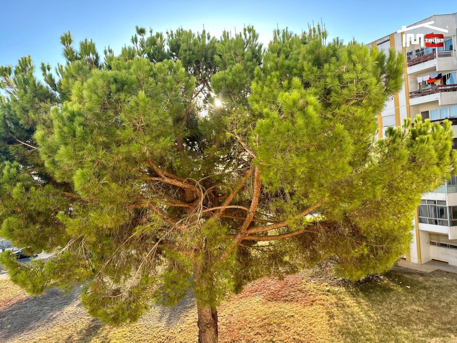 Apartamento T3 para Venda em Montijo e Afonsoeiro